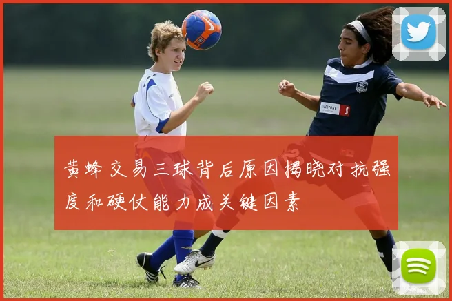 黄蜂交易三球背后原因揭晓对抗强度和硬仗能力成关键因素