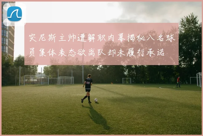 突尼斯主帅遭解职内幕揭秘八名球员集体表态欲离队却未履行承诺
