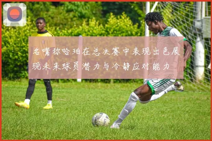 名嘴称哈珀在总决赛中表现出色展现未来球员潜力与冷静应对能力
